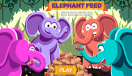 Elephant Feed Synonyms