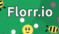 Florr io