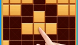 Wood Block Puzzle Wood Block Puzzle