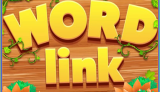 Word Link Puzzle