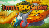 Little Big Snake