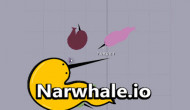 Narwhale