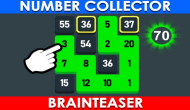 Number Collector: Brainteaser