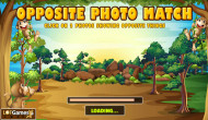 Opposite Photo Match