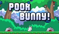 Poor Bunny