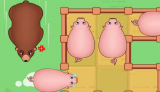 Save The Piggies Save The Piggies