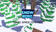 Snow Road