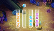 Sort Bubbles